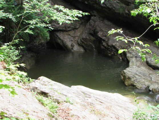 Die Starzlachklamm im Oberallgäu