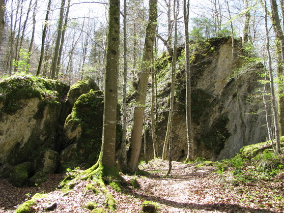 Die Teufelsküche im Ostallgäu