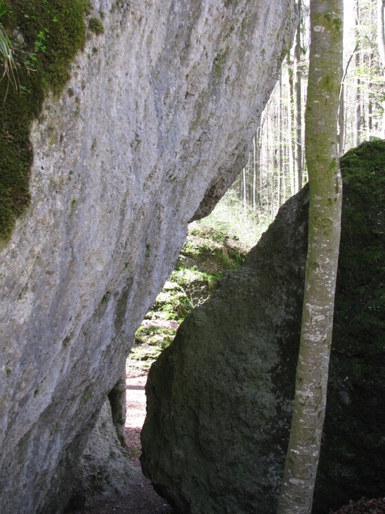 Die Teufelsküche im Ostallgäu