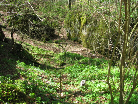 Die Teufelsküche im Ostallgäu