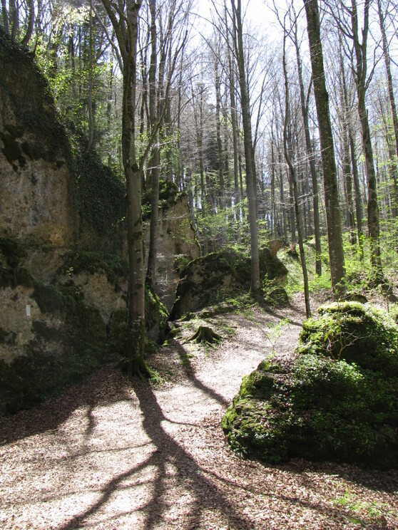 Die Teufelsküche im Ostallgäu