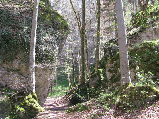 Die Teufelsküche im Ostallgäu