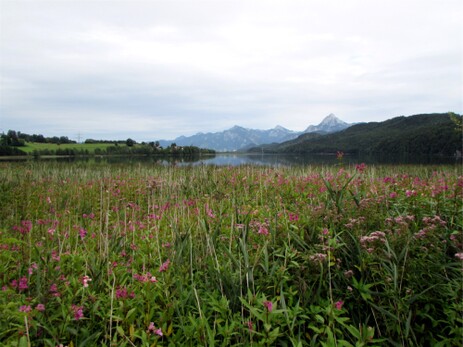 Der Weißensee bei Füssen