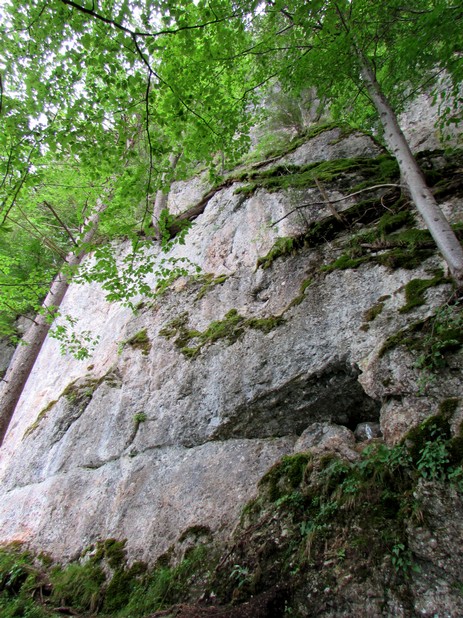 Steile Felswände am Südufer des Weißensees
