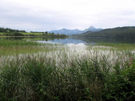 Der Weißensee im Ostallgäu