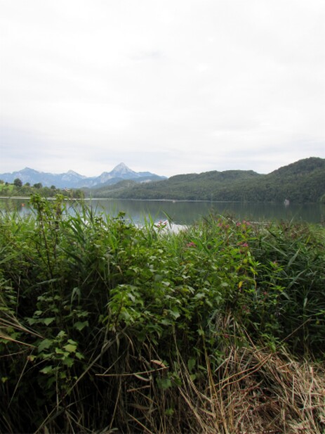 Blick über den Weißensee bis zum Säuling