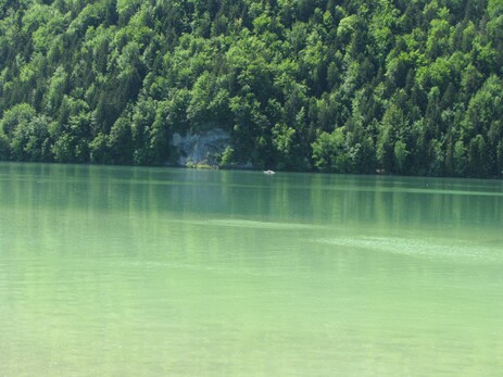 Das Südufer des Weißensee