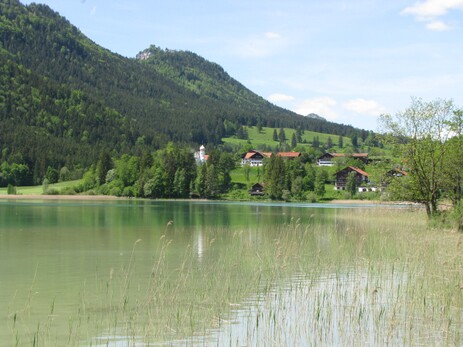 Das Südufer des Weißensee