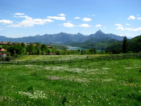 Blick auf den Weißensee im Ostallgäu<br /><br /><br /><br /><br /><br />Der Traum vom eigenen Feriendomizil in den Bergen – mit guter steuerlicher Vorbereitung bleibt er entspannt. Bildquelle: Unsplash<br /><br /><br /><br /><br /><br />Der Traum vom eigenen Feriendomizil in den Bergen – mit guter steuerlicher Vorbereitung bleibt er entspannt. Bildquelle: Unsplash
