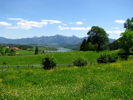 Blick von Oberkirch auf den Weißensee