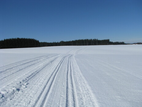 Langlaufloipe bei Böhen