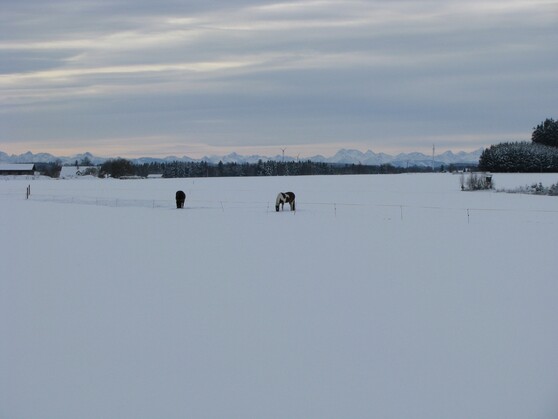 Fotoalben - Winter im Allgäu