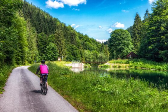 ild von moravcikjaroslav auf Magnific: Radfahrerin auf einem Weg durch sommerliche Natur