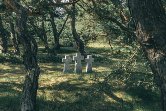 Bild von Kris Møklebust auf Pexels: Naturbestattung im Wald als moderne Alternative zur klassischen Beisetzung im Allgäu