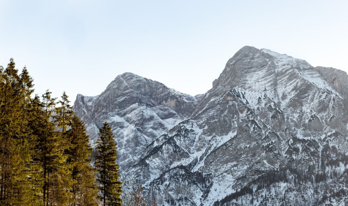 Bild von Simon Berger auf Pexels: Schneebedeckte Berge und Immergrüne Bäume in Oberösterreich, Österreich