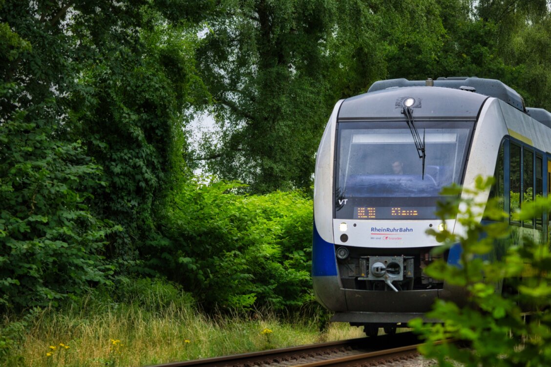 Bild von Wolfgang Vrede auf Pexels: Ein Regionalzug fährt durch eine bewaldete Landschaft im Bayerischen Wald