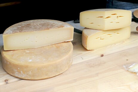 Käselaibe